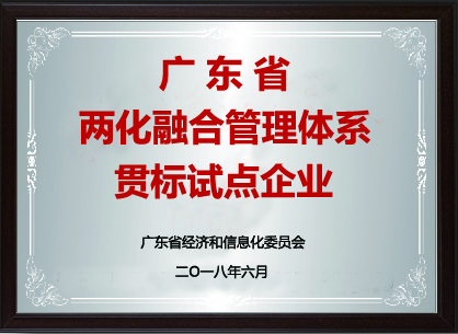廣東省兩化融合企業